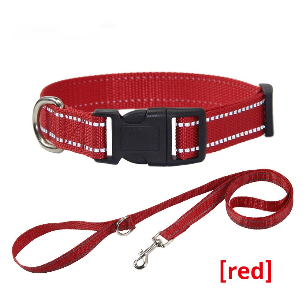 Reflective Dog Collar Outdoor Hand Holding Rope