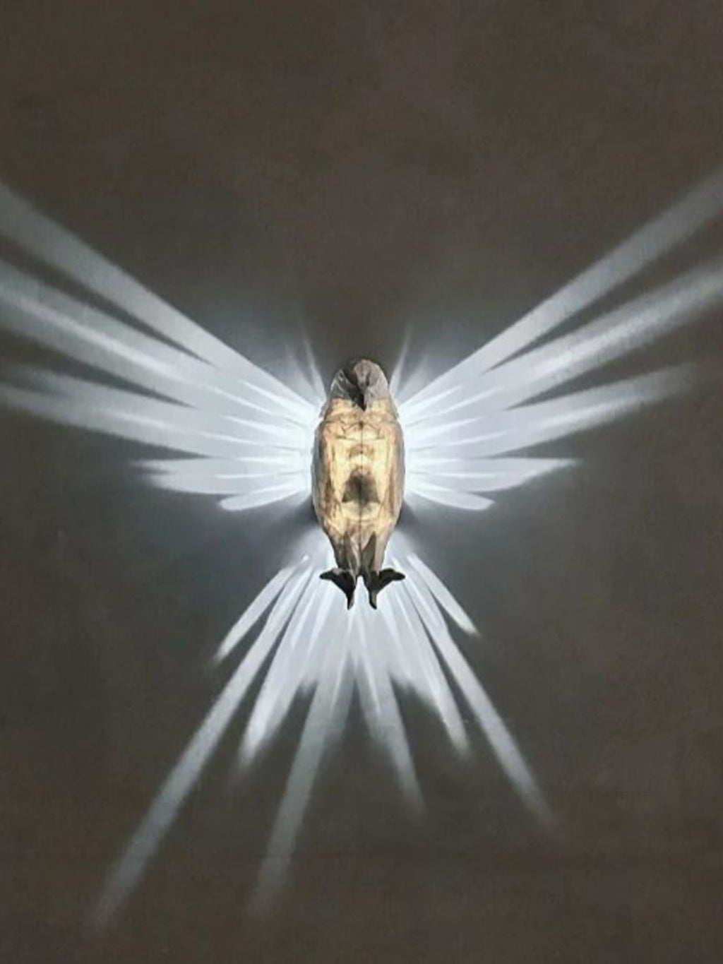 T Animal LED Sleep Small Night Lamp Wall