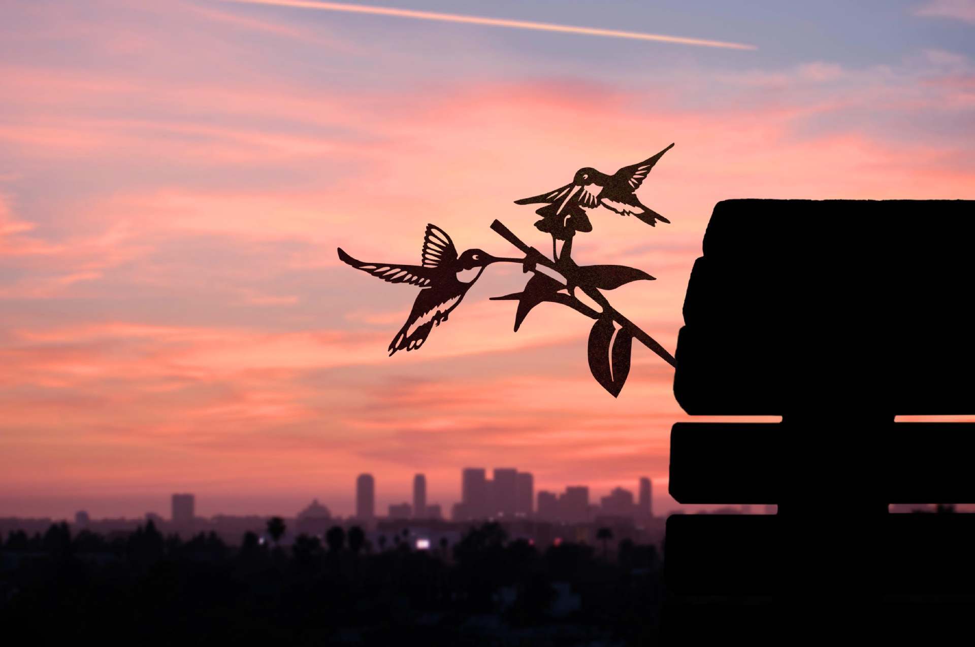 Owl Bird Hummingbird Woodpecker Silhouette Garden Plug-in