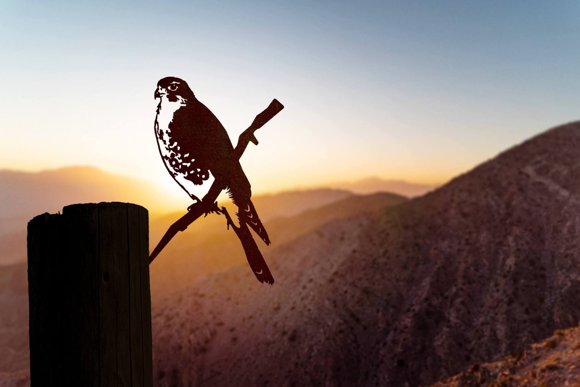 Owl Bird Hummingbird Woodpecker Silhouette Garden Plug-in