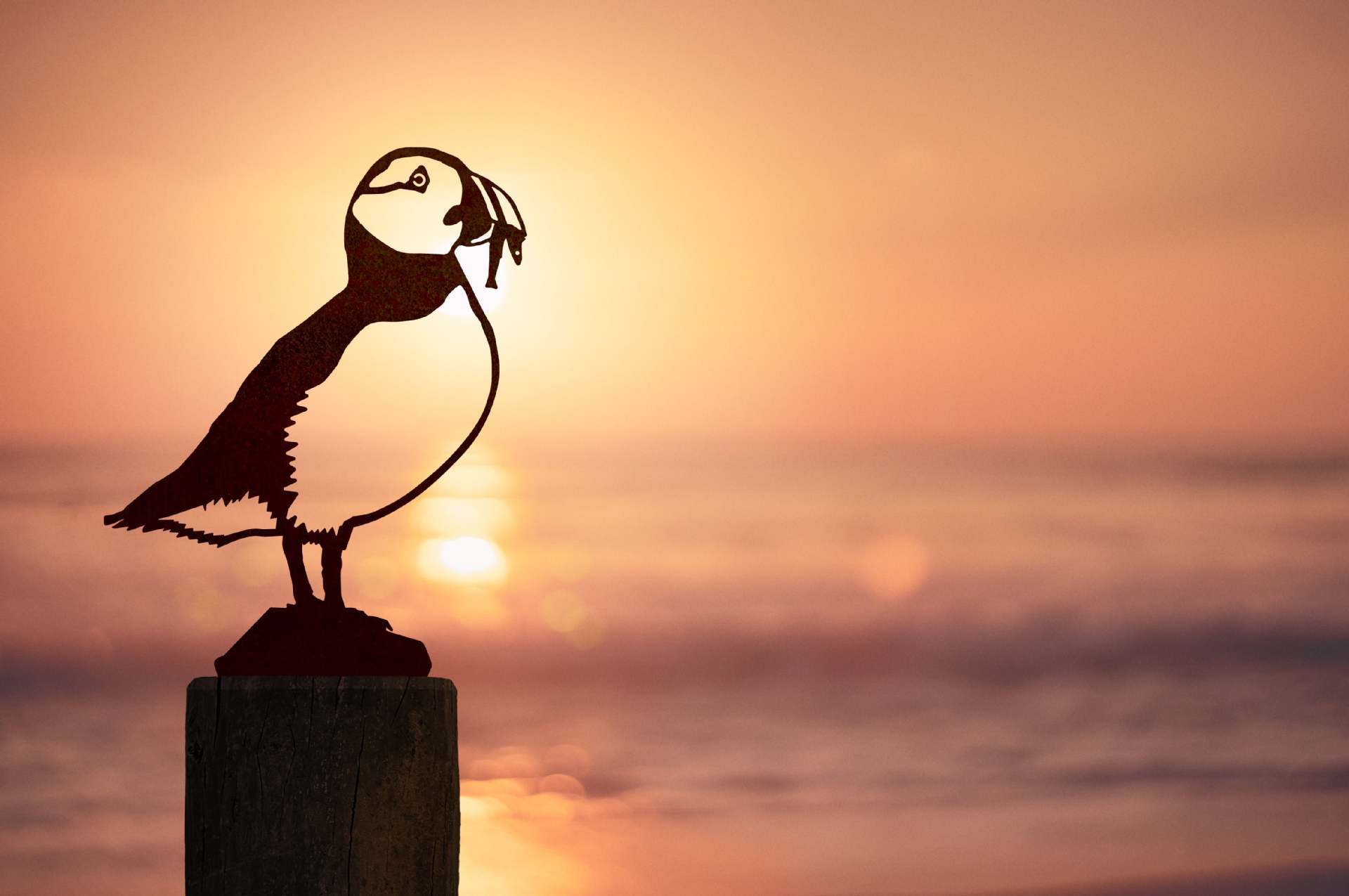 Owl Bird Hummingbird Woodpecker Silhouette Garden Plug-in