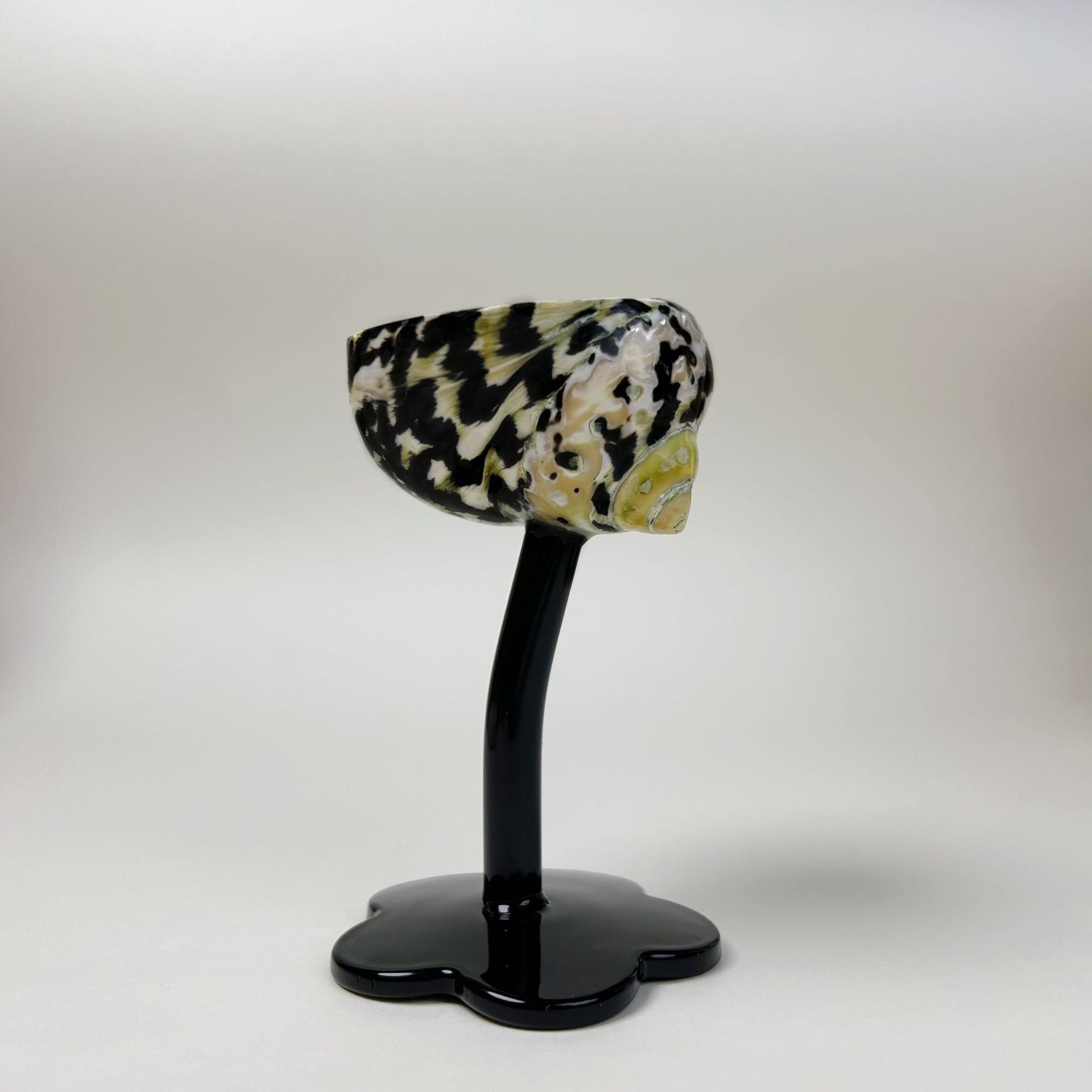 Ins Handmade Shell Conch Wine Glass Aromatherapy Dish