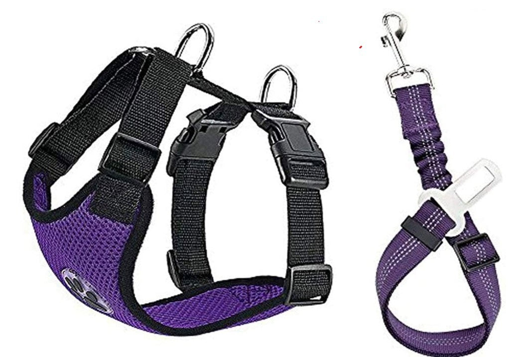 New Pet Reflective And Breathable Dog Rope