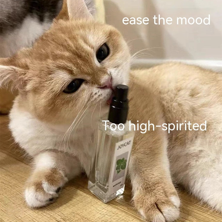 Household Personalized Cat Happy Water