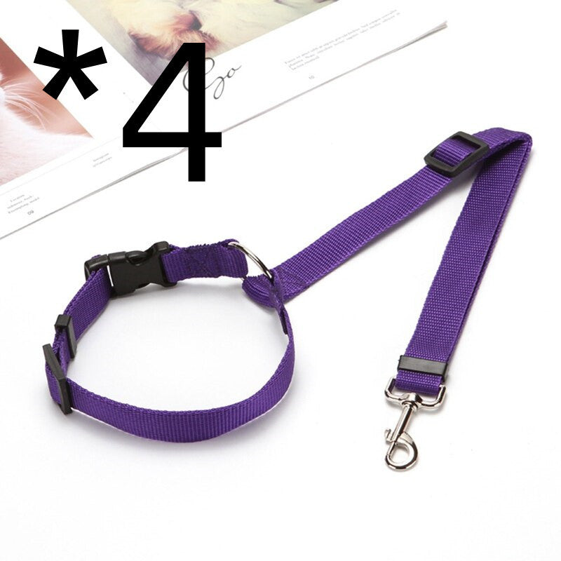 Explosive Pet Car Rear Seat Ring Safety Rope