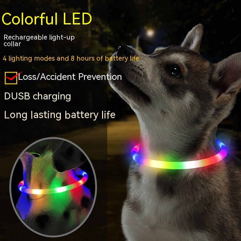 Fashion Led Pet Collar Dog