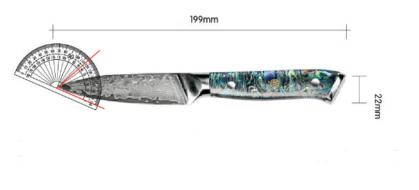 G10 67 Layers Damascus Steel Chef
