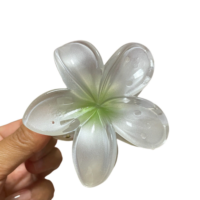 Flower Barrettes Women's Colorful Updo Gadget Hair Accessories