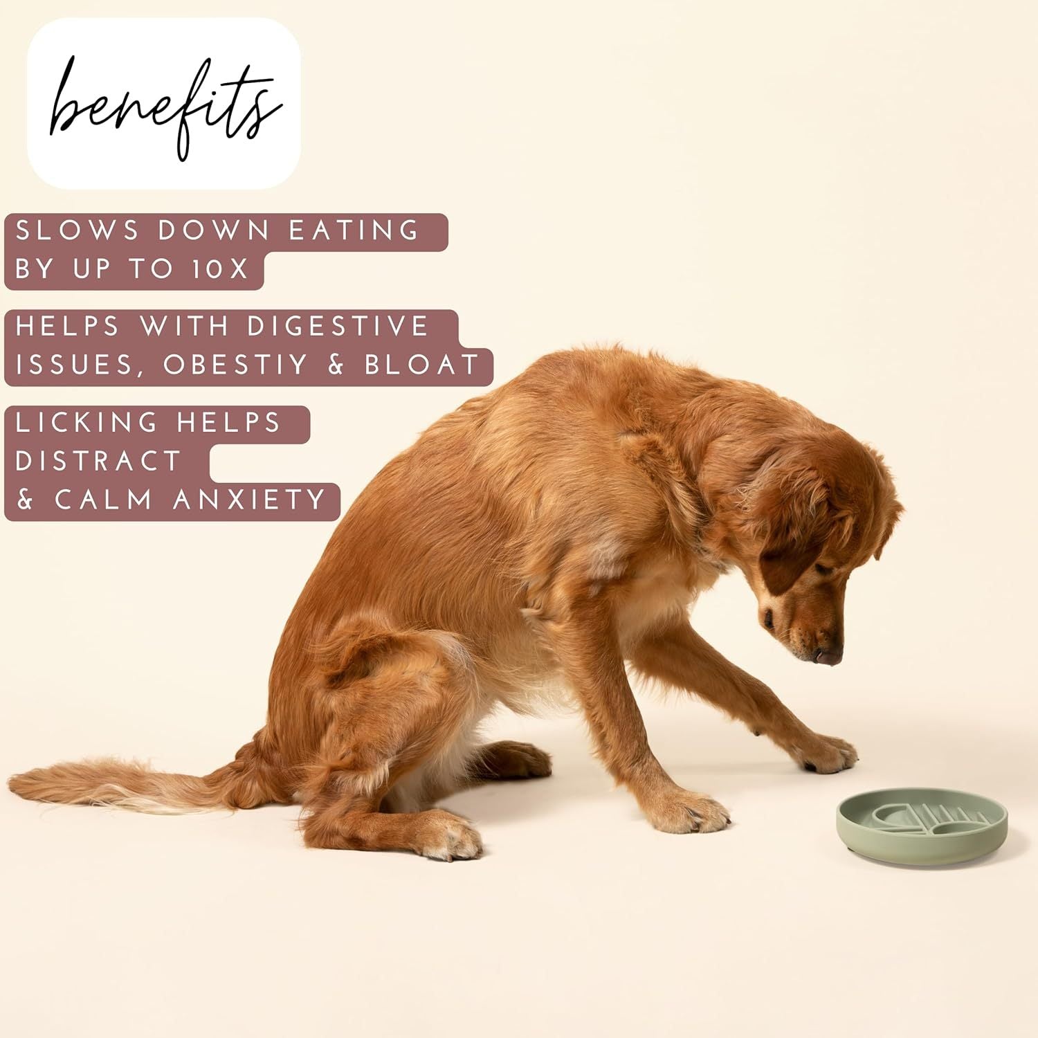 The Slowdown Bowl Silicone Slow Feeder For Dogs Puppies Slow Eating Modern Lick Mat Design Reduces Gulping Dishwasher Fit For All Breed Mealtime Challenge