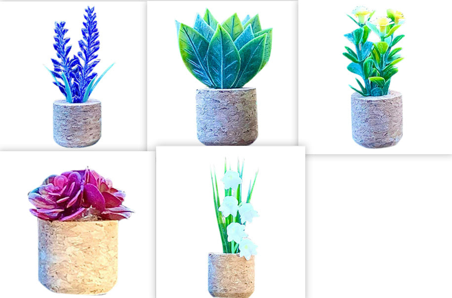 Creative Succulent Cactus Potted Decorative Ornaments