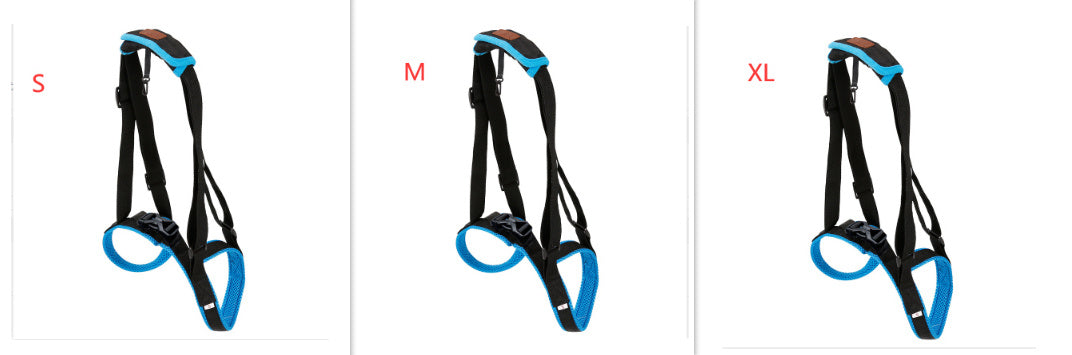 Pet Leg Strap Walking Support Dog Leg Support