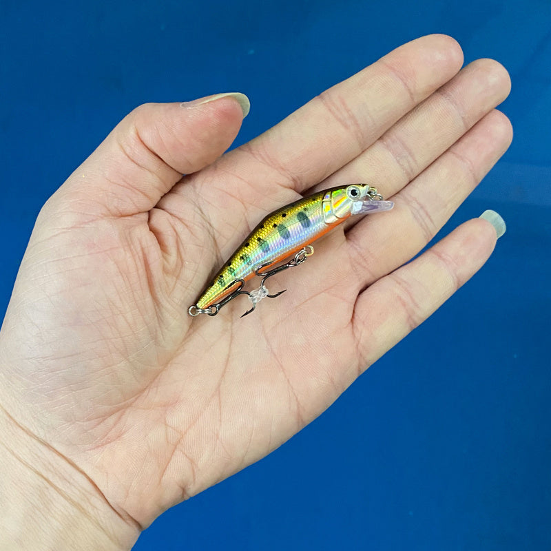 Fashion Personality Warped Mouth Bass Dummy Bait