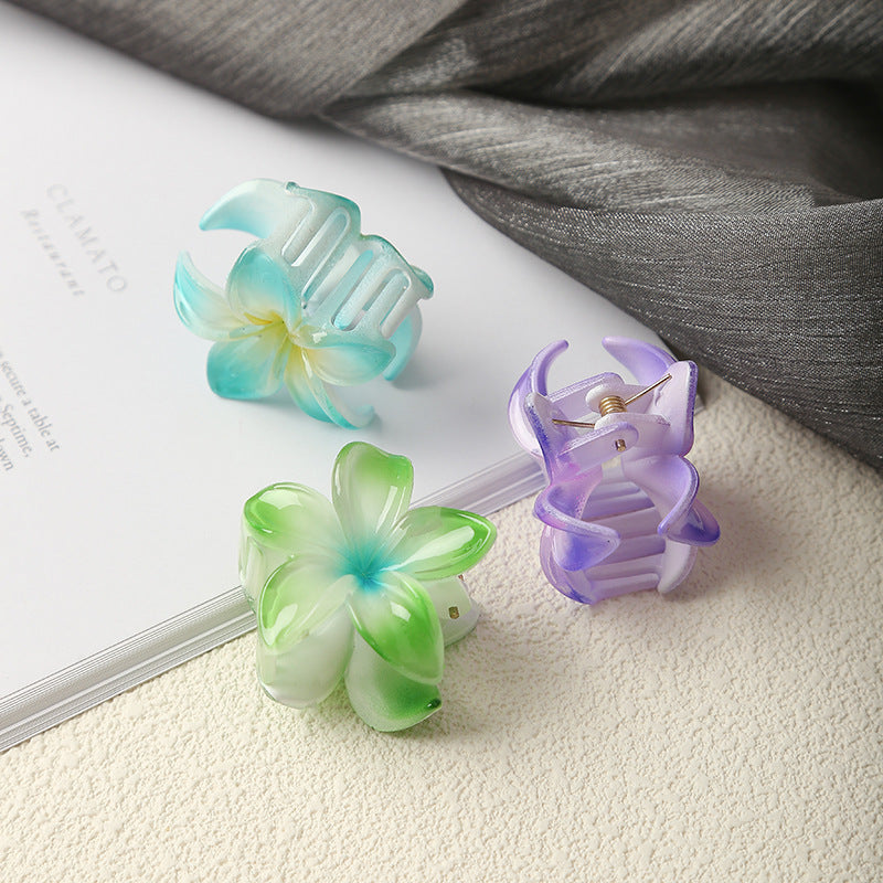 4cm Bauhinia Small Hair Grabbing Clip Simple Plumeria Rubra Bath Hair Clip