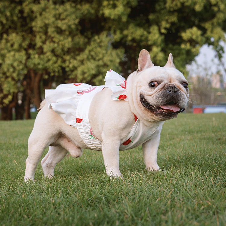Lotus Leaf Lace Suspender Skirt Fadou Sherry Teddy Small And Medium Sized Dog, Cat And Dog Clothes Bago Strawberry Print