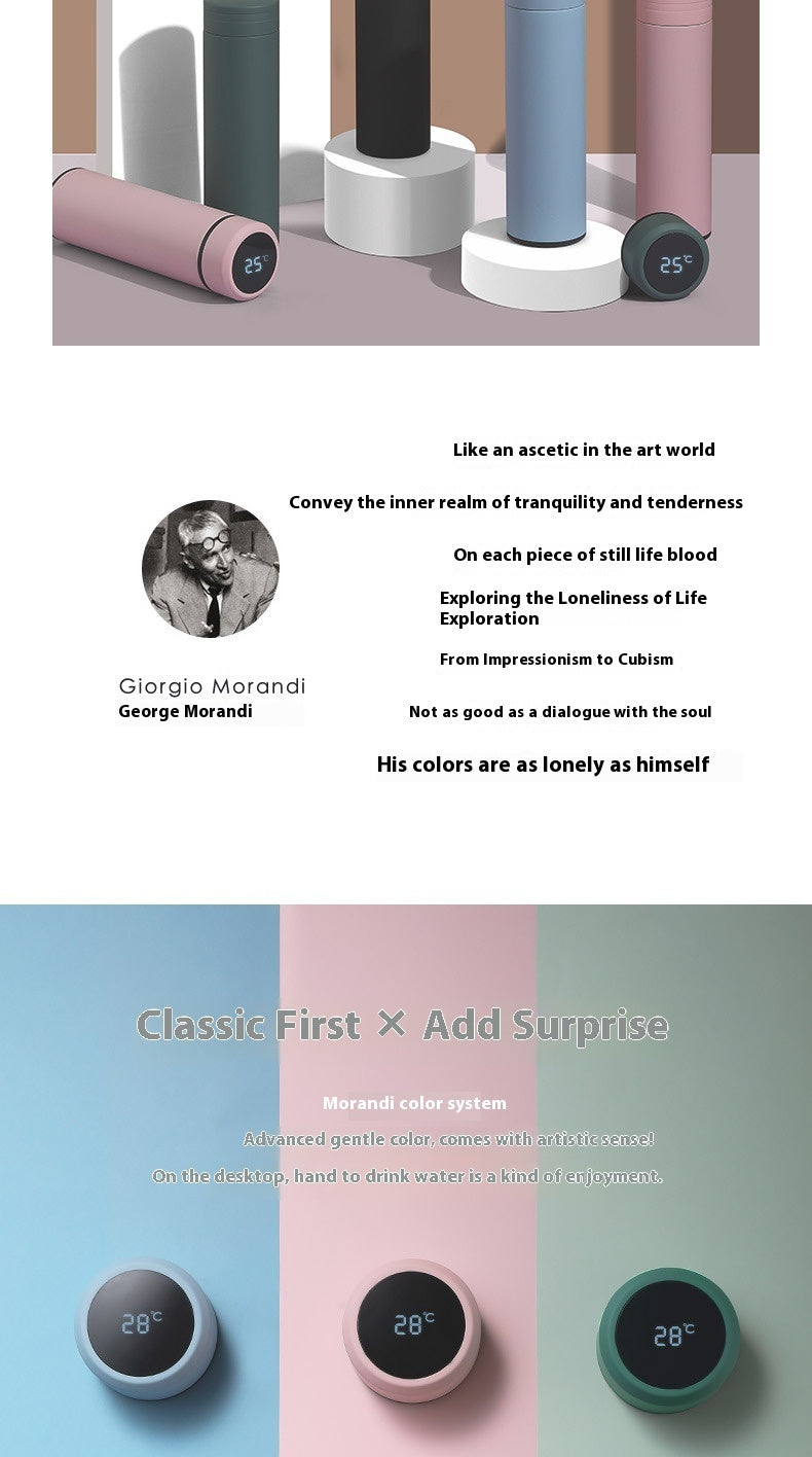 304 Stainless Steel Vacuum Morandi Color Water Cup