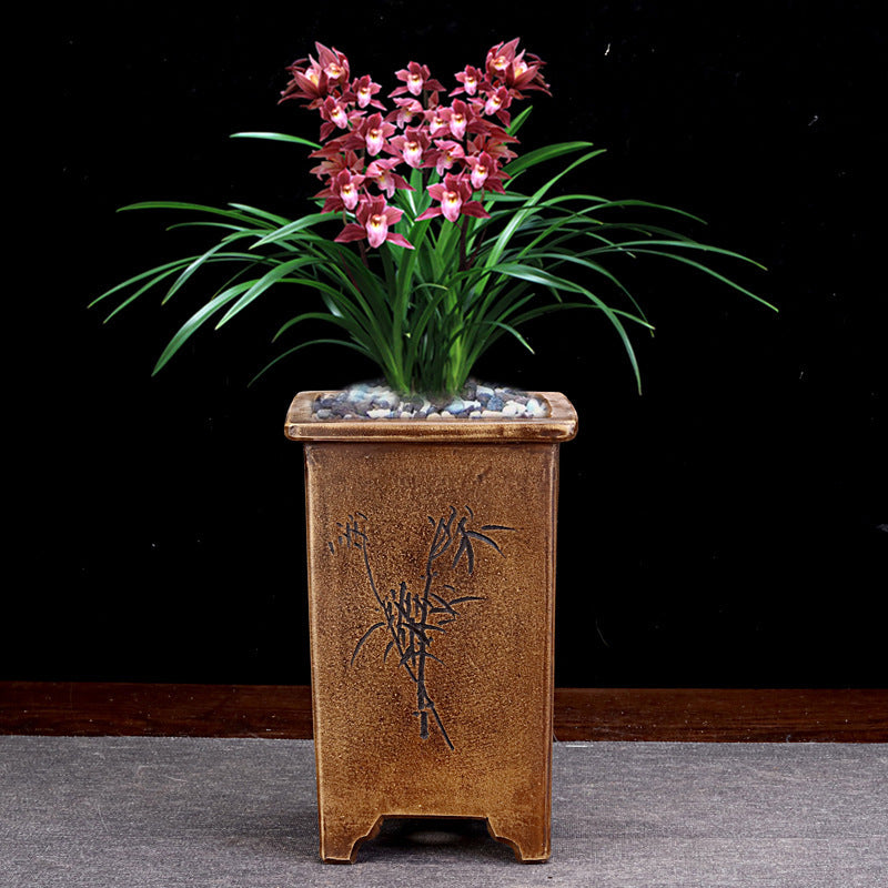 Orchid Grass Succulent Small Flower Pot Porcelain Minimalist Creative