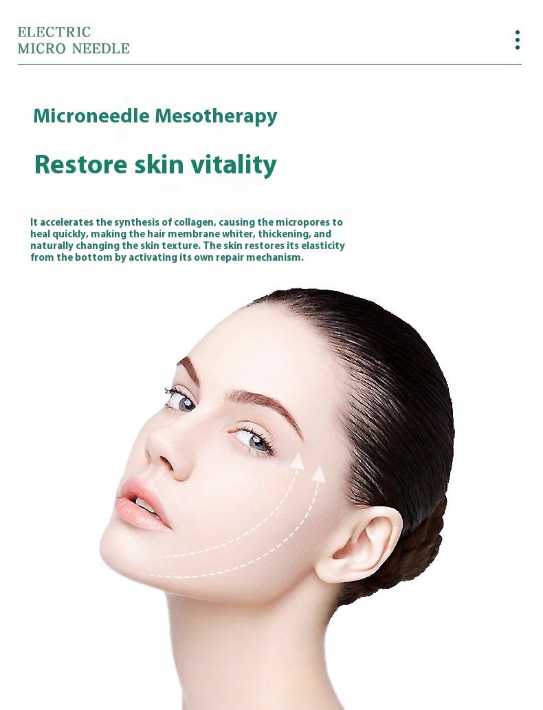 Portable Manual Lanury Roller Stamp Microneedle