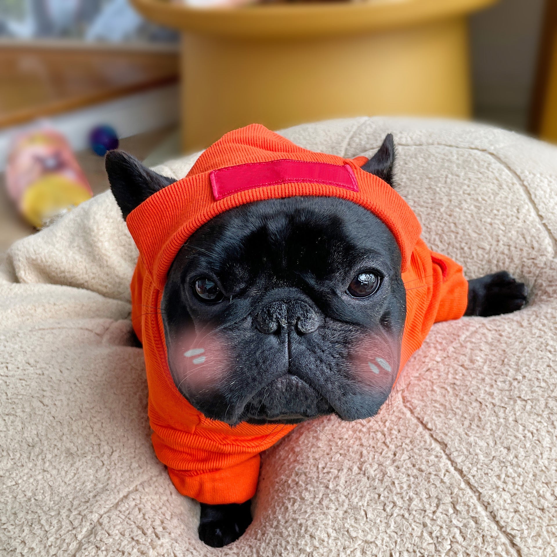 Pet Fashion Brand Pet Clothes Small And Medium-sized Dogs Teddy Bichon Jarre Aero Bull Dog Stretch Autumn And Winter Threaded Undershirt