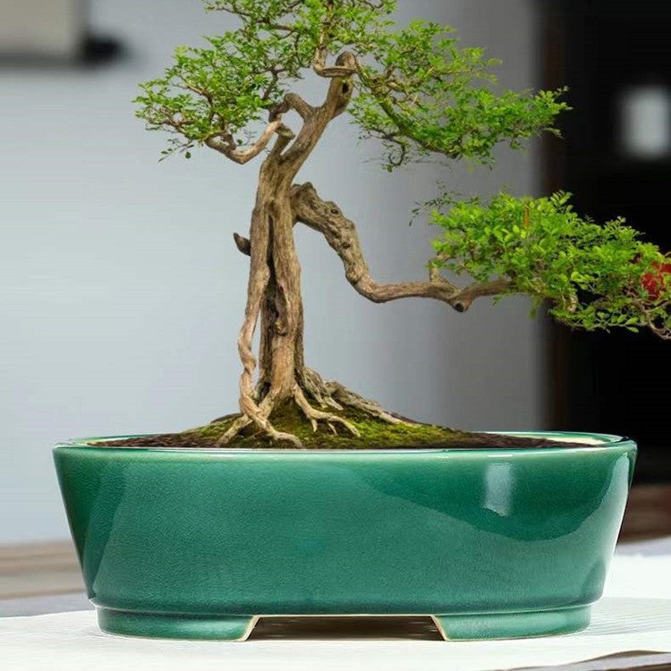 Purple Sand Flowerpot Ceramic Rectangular Bonsai