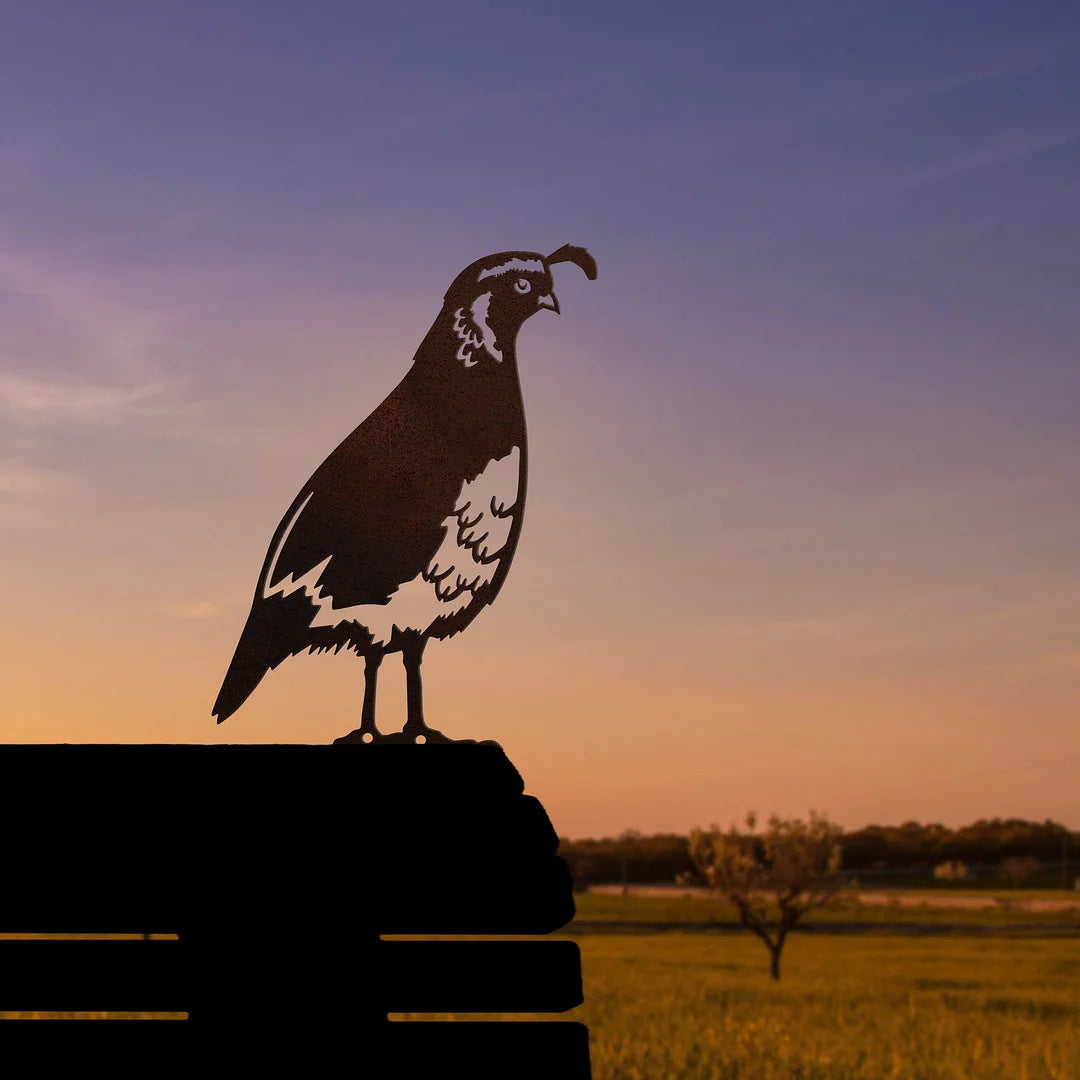 Owl Bird Hummingbird Woodpecker Silhouette Garden Plug-in