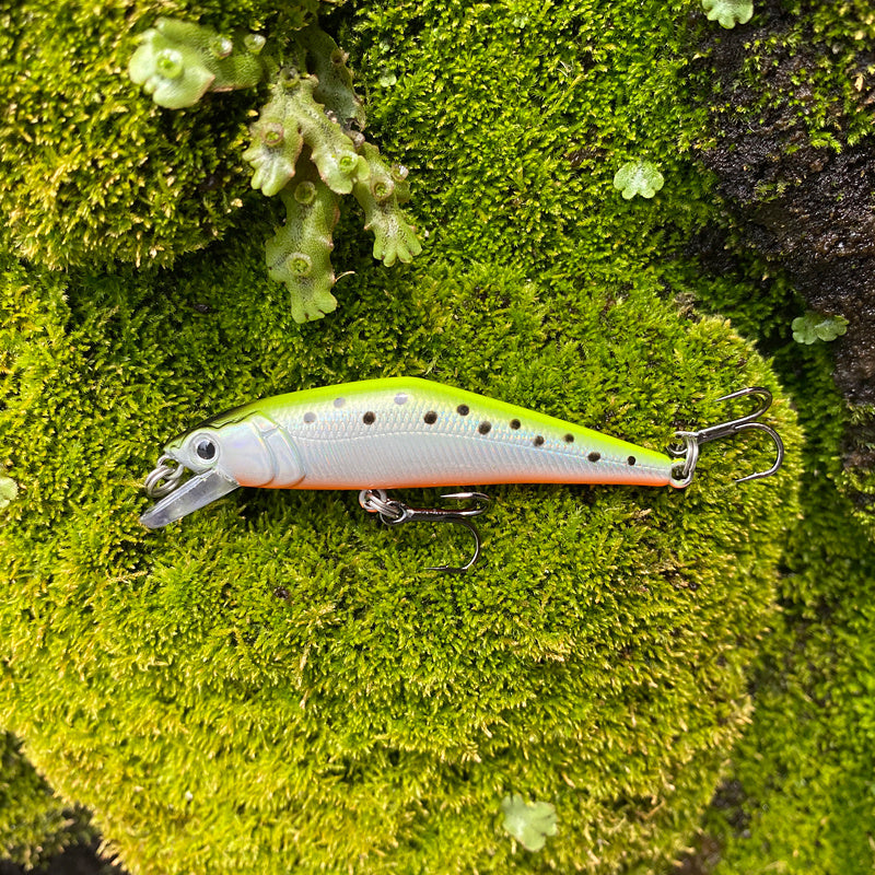 Fashion Personality Warped Mouth Bass Dummy Bait