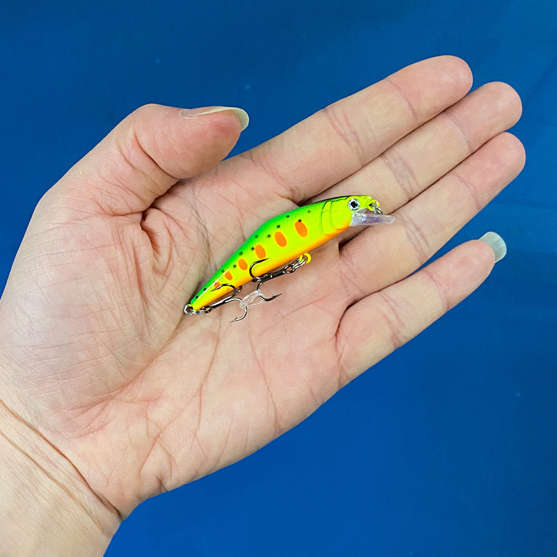 Fashion Personality Warped Mouth Bass Dummy Bait