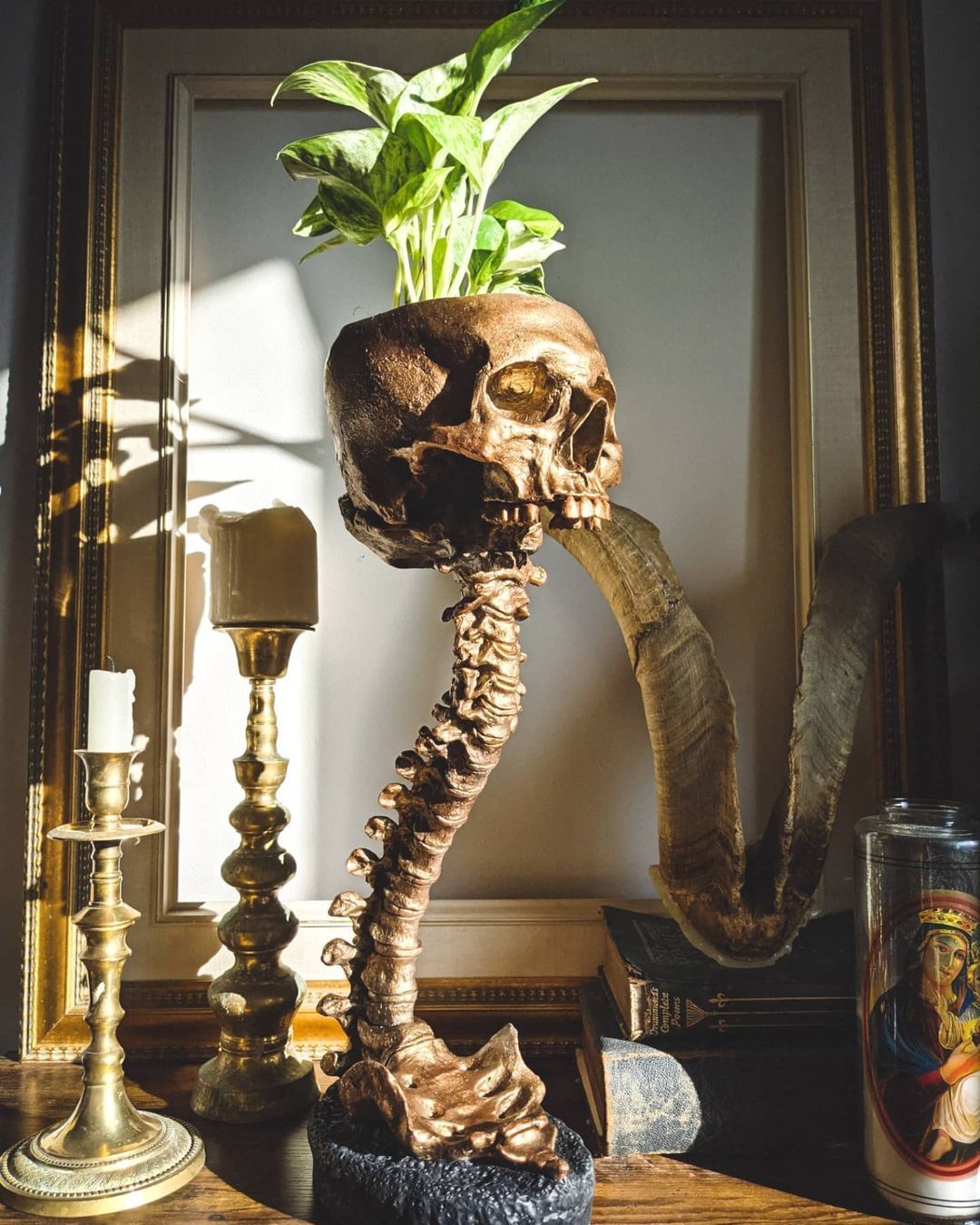 Skull Flower Pot And Spine Rack Set