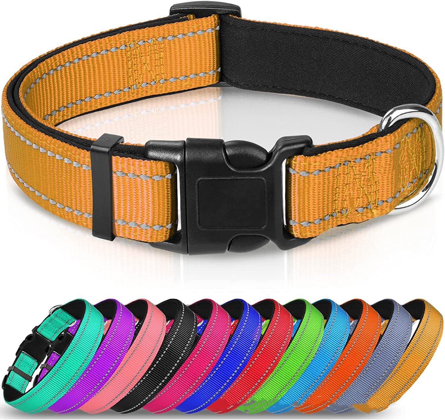 Adjustable Reflective Nylon Webbing Dog Collar