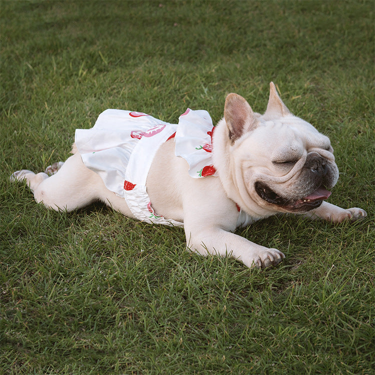 Lotus Leaf Lace Suspender Skirt Fadou Sherry Teddy Small And Medium Sized Dog, Cat And Dog Clothes Bago Strawberry Print