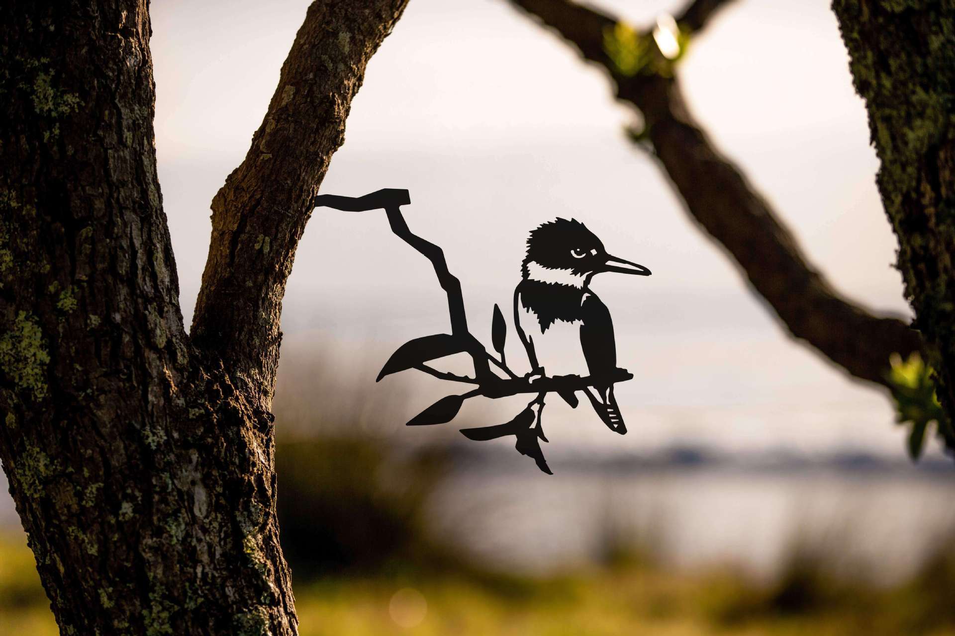 Owl Bird Hummingbird Woodpecker Silhouette Garden Plug-in