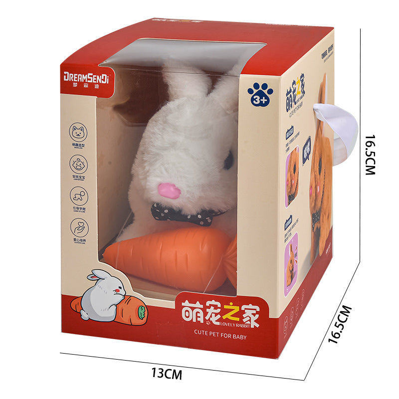 Children's Electric Simulation Plush Pet Teddy