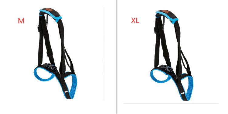 Pet Leg Strap Walking Support Dog Leg Support