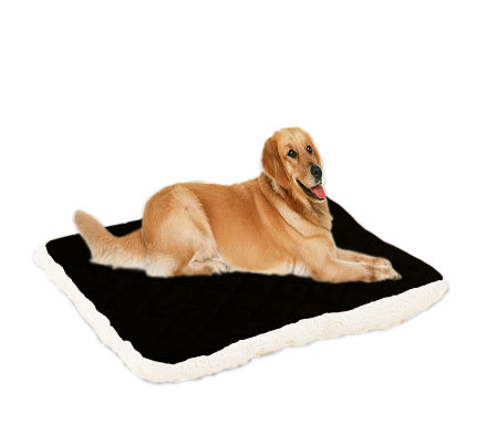 Pet ice silk cushion