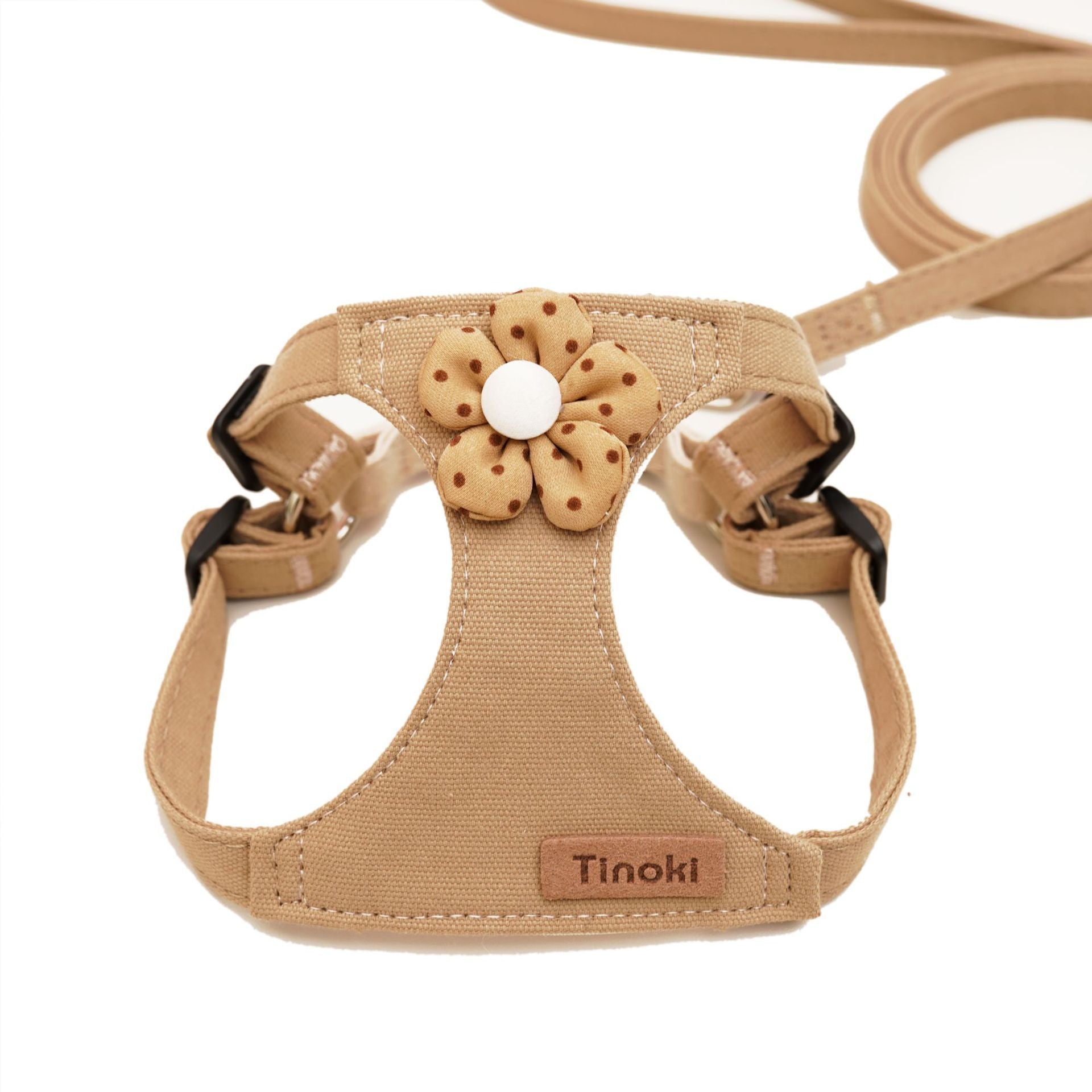 Dog Hand Holding Rope Vest Small Dog