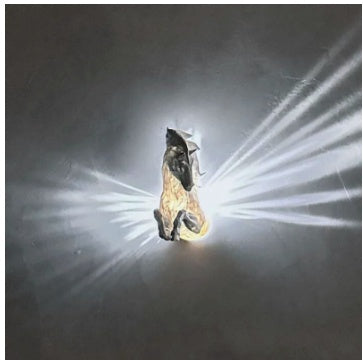 T Animal LED Sleep Small Night Lamp Wall