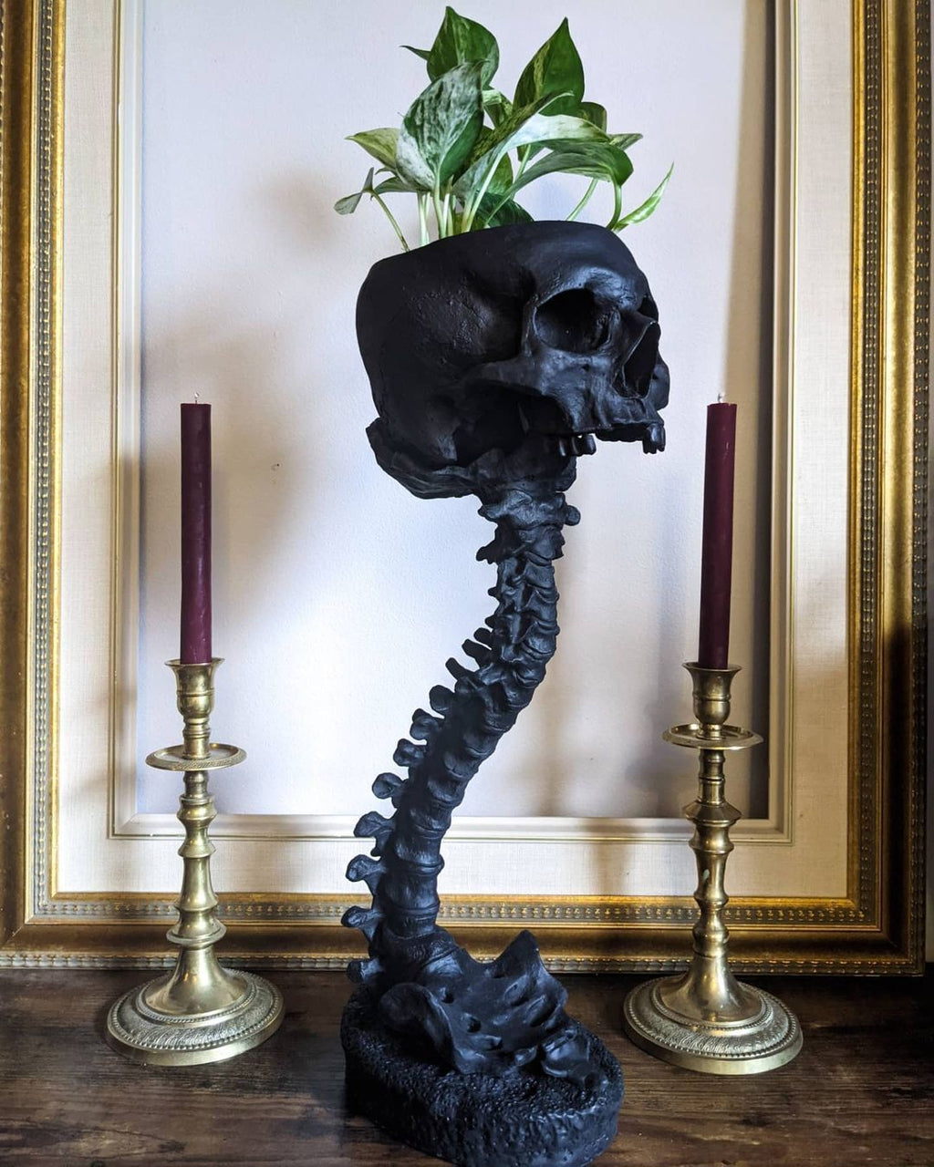 Skull Flower Pot And Spine Rack Set